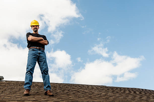 Roof Gutter Cleaning in Erwin, TN