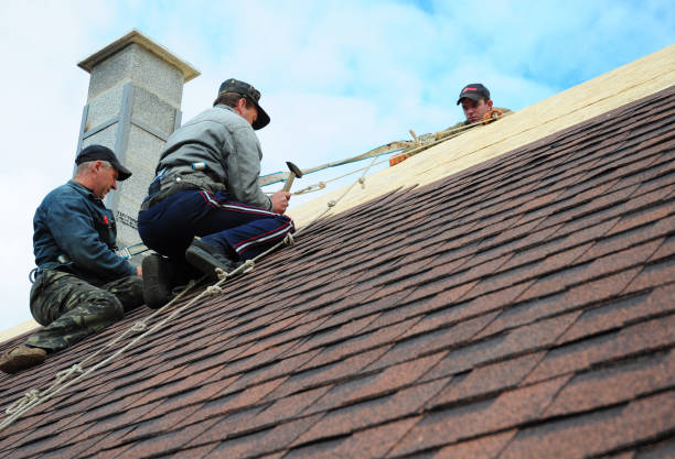 Trusted Erwin, TN Roofing Contractor Experts