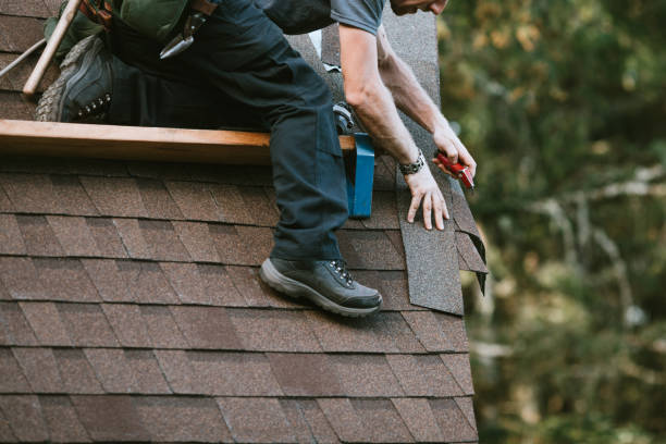 Best Gutter Installation and Roofing  in Erwin, TN
