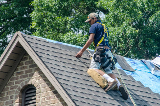Best Storm Damage Roof Repair  in Erwin, TN