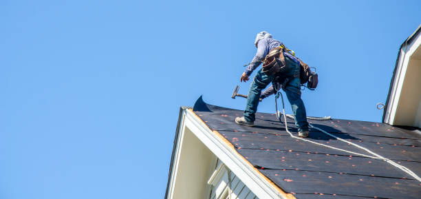 Best Affordable Roof Replacement  in Erwin, TN